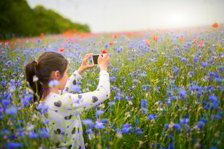 Young girl exploring nature