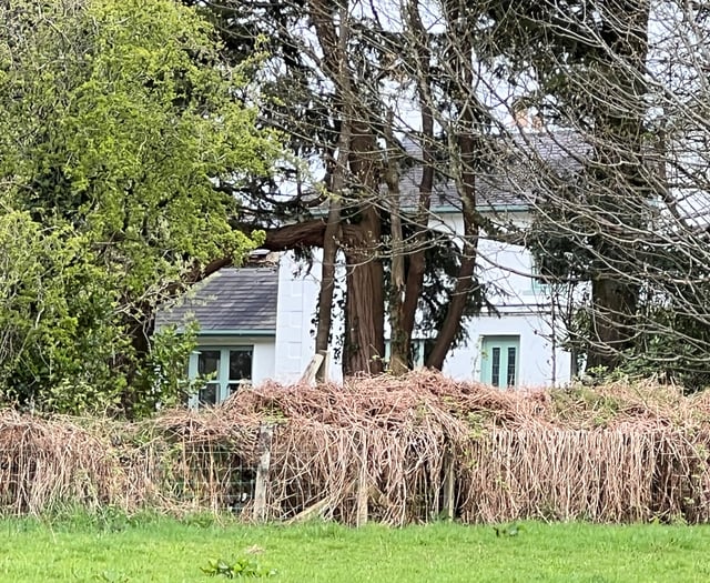 Claimants 'refused to take no for an answer' in battle to save home