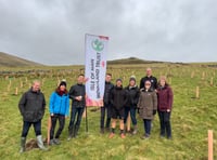 Appleby Isle of Man: Nurturing sustainability beyond the office walls