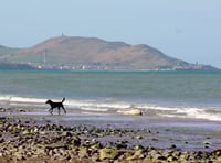 Full list of beaches where dogs will be banned from this summer