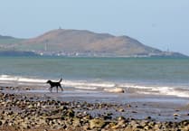 Full list of Isle of Man beaches where dogs are banned for the summer