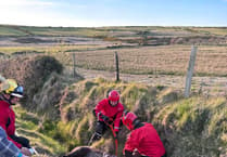 Horse rescued by Isle of Man emergency services after animal falls into ditch