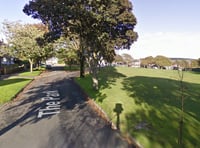 Drink driver who crashed into a tree 'should have got a taxi'