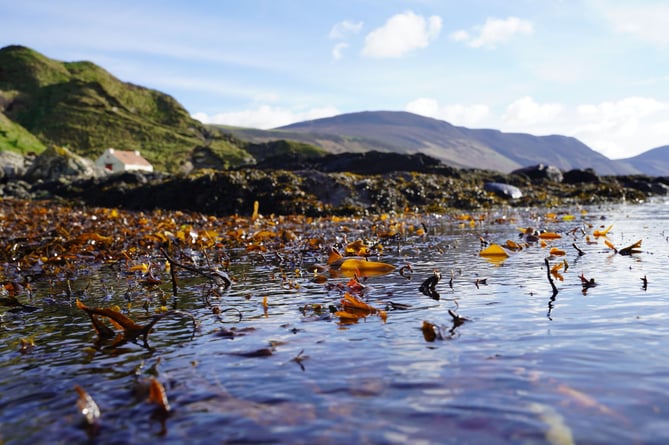 Charlotte Turnbull won her section with this view of Niarbyl with seaweed in the foreground