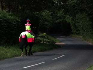 MSPCA column: Respect horses on our island roads