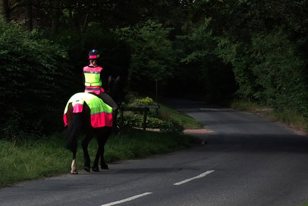 A horse and rider in high vis on a rural road
