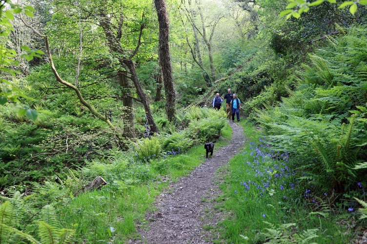 Sir John Lorimer, Lady Lorimer and their dog Midge enjoy the new reserve