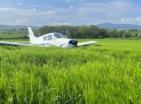 Aircraft forced to make emergency landing in Grenaby field