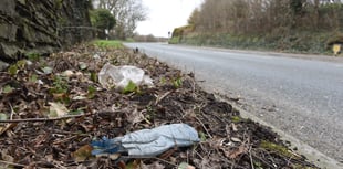 Beach Buddies to host clean up that aims to prevent spread of litter