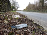 Beach Buddies to host clean up that aims to prevent spread of litter