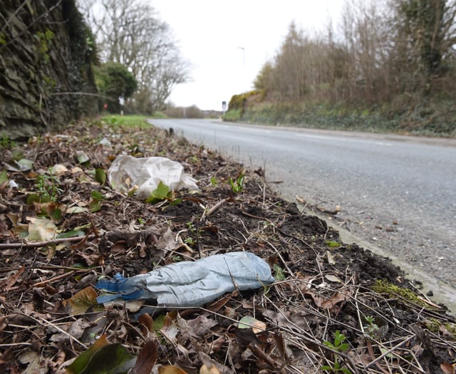 Beach Buddies to host clean up that aims to prevent spread of litter