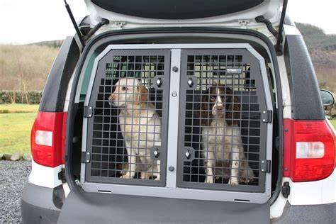 Isle of Man TT 2024: Using crates to keep dogs away from busy roads 'not the answer'