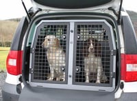 Using crates to keep dogs away from busy TT roads 'not the answer'