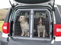 Using crates to keep dogs away from busy TT roads 'not the answer'