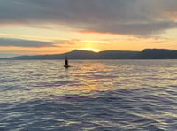 The small monitoring station off Port Erin recording big findings