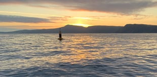 The small monitoring station off Port Erin recording big findings