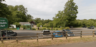Bid to allow campervans to stay overnight at Isle of Man wildlife park
