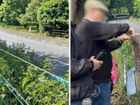Farmer urges ‘lynch parties to stand down’ over TT 'vandal' pictures