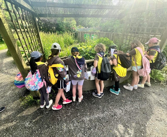 Brownies celebrate birthday milestone with Wildlife Park lock-in