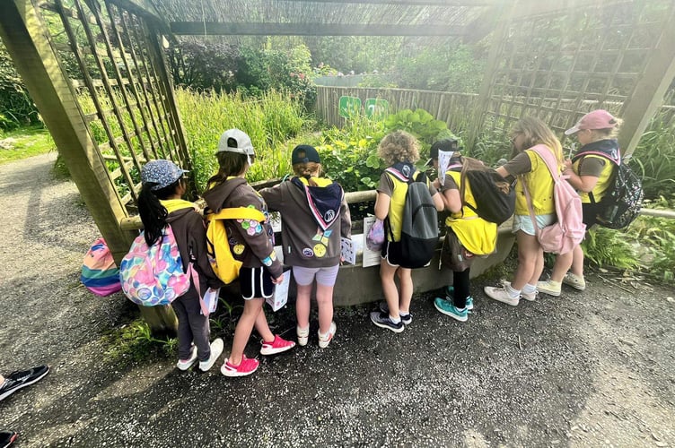 The Brownies during their Wildlife Park lock-in