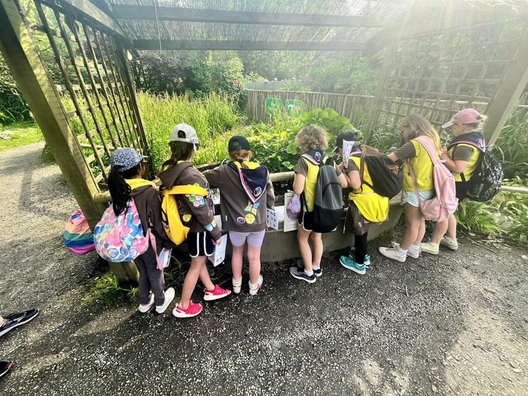 The Brownies during their Wildlife Park lock-in