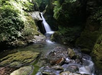 Popular island glen could reopen to the public in September 