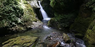 Popular island glen could reopen to the public in September 
