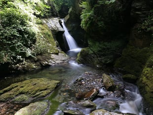 Popular island glen could reopen to the public in September 