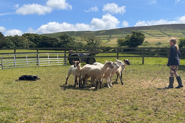 Ruby Clague and Lula