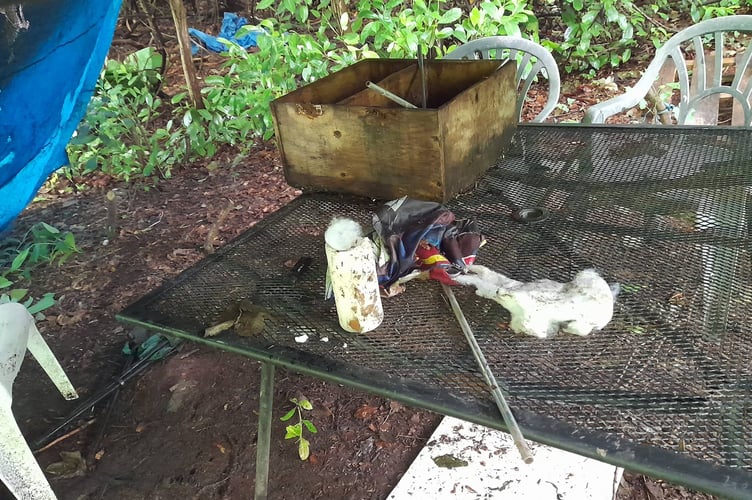 Items have been removed from a den created at Molly Quirk's Glen