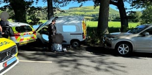 Two arrests after stolen van intercepted