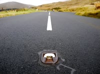 Damage to cats’ eyes on island road caused by 'agricultural roller'
