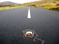 Damage to cats’ eyes on island road caused by 'agricultural roller'