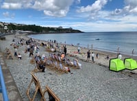 Douglas Beach Day takes place later this month