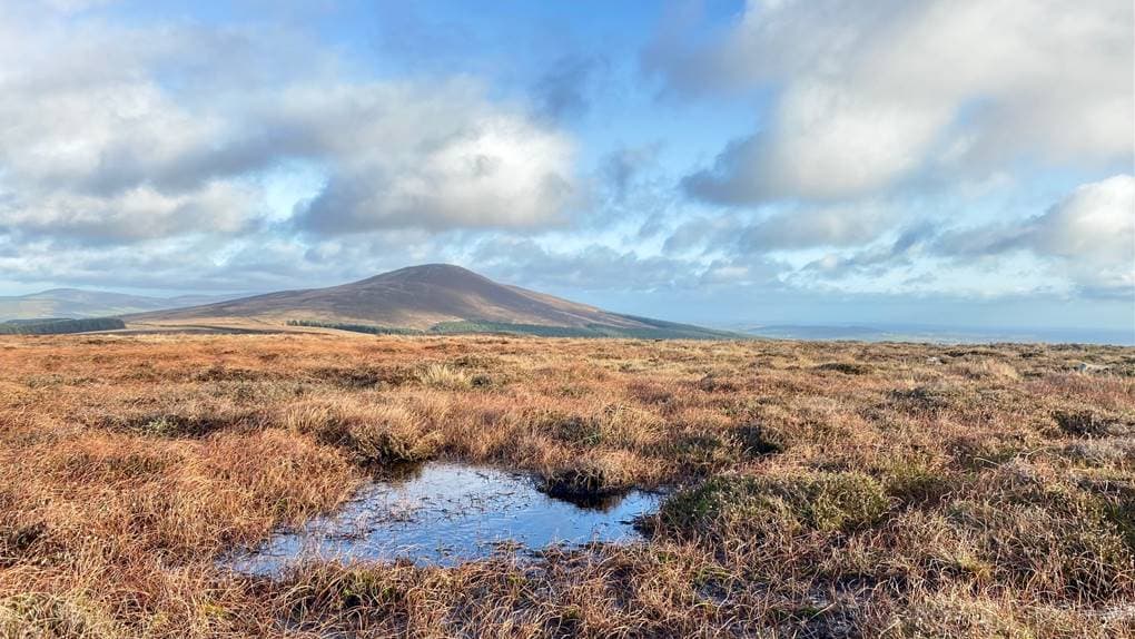 'Isle of Man windfarm will have substantial negative impact on our ...