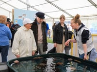 Festival of the Sea returns to Port Erin
