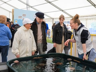 Festival of the Sea returns to Port Erin