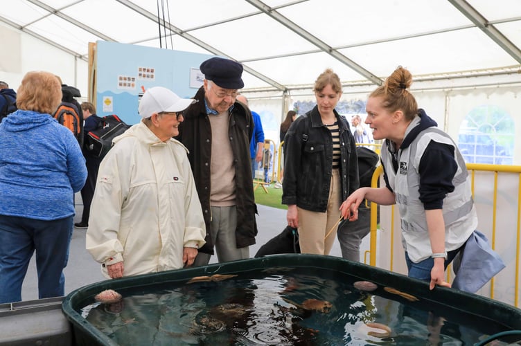 Visitors to the Manx Wildlife Trust Exhibition exploring marine life in tanks