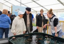 Festival of the Sea returns to Port Erin
