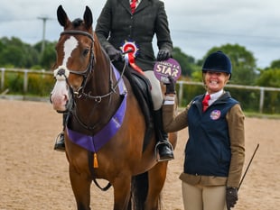 Anna Higgins qualifies for Horse of the Year Show