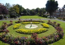 Picnic for Peace to bring community together in Douglas