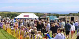 Southern Agricultural Show 2024 in pictures as 15,000 attend event 