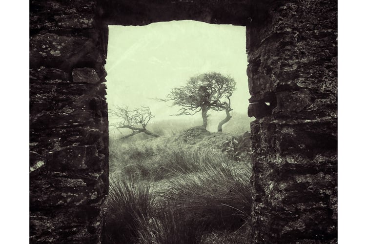 Murders and Melancholy EP cover