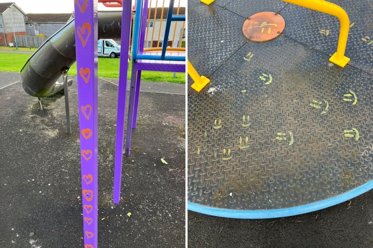 Police appeal after graffiti daubed on Anagh Coar play park equipment