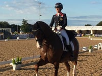 'Dujardin incident has rocked the equestrian world'