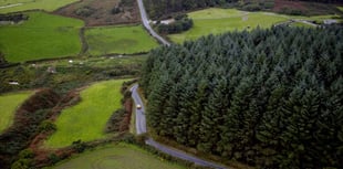 Druidale Motor Club gearing up for Targa Car Rally Weekend 