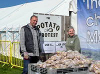 'Nowhere near' the volume of Manx potatoes used since Tesco takeover