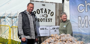 'Nowhere near' the volume of Manx potatoes used since Tesco takeover
