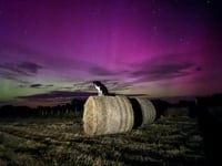 Four Aurora Borealis pictures as it lit up the sky above Isle of Man 