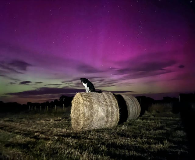 Four Aurora Borealis pictures as it lit up the sky above Isle of Man 